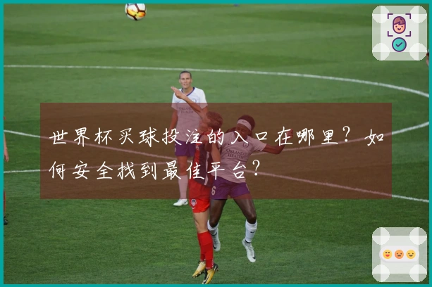 世界杯买球投注的入口在哪里？如何安全找到最佳平台？