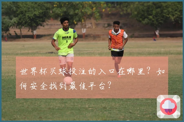 世界杯买球投注的入口在哪里？如何安全找到最佳平台？