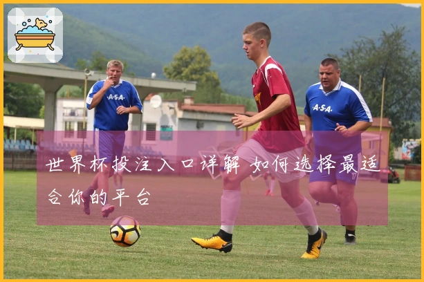 世界杯投注入口详解 如何选择最适合你的平台