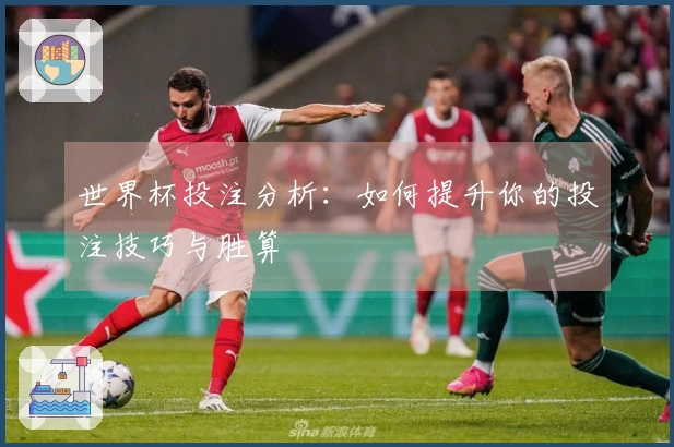 世界杯投注分析：如何提升你的投注技巧与胜算