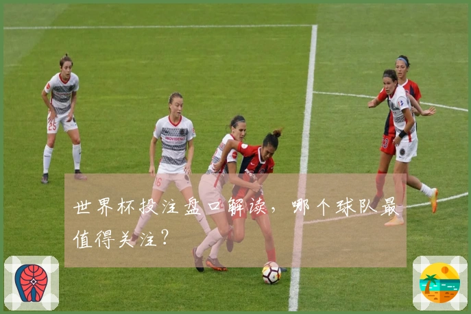 世界杯投注盘口解读，哪个球队最值得关注？