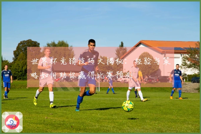 世界杯竞猜技巧大揭秘：经验与策略如何助你赢得比赛预测