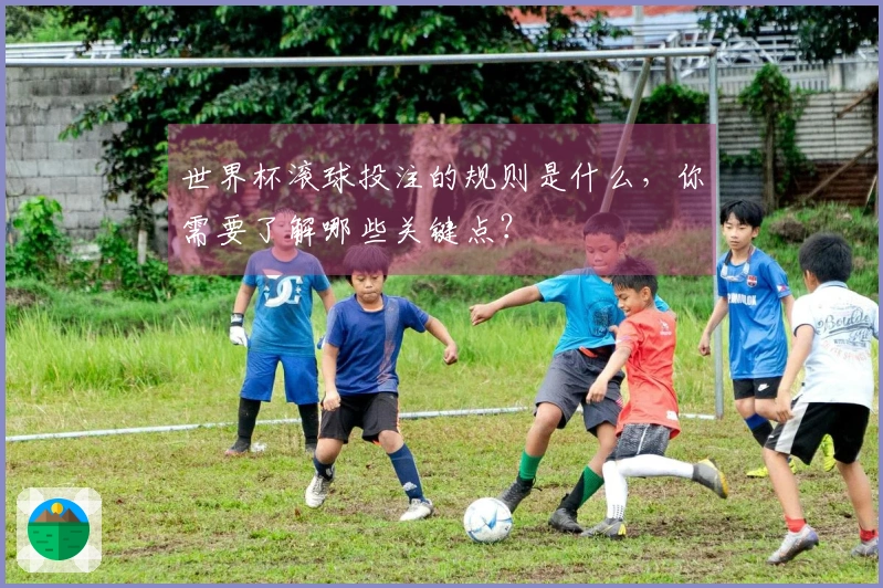 世界杯滚球投注的规则是什么，你需要了解哪些关键点？