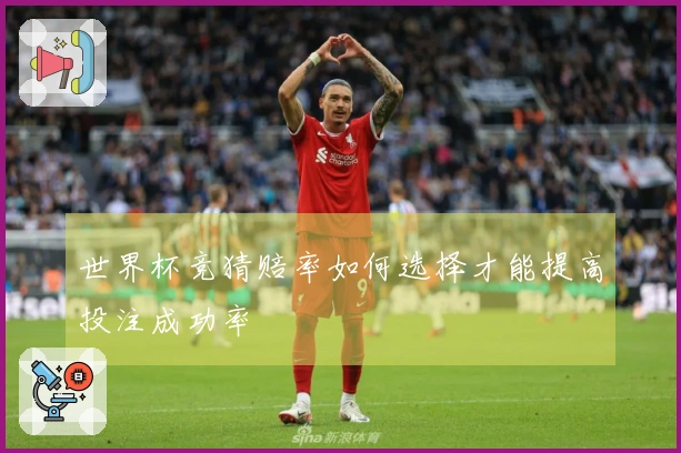 世界杯竞猜赔率如何选择才能提高投注成功率