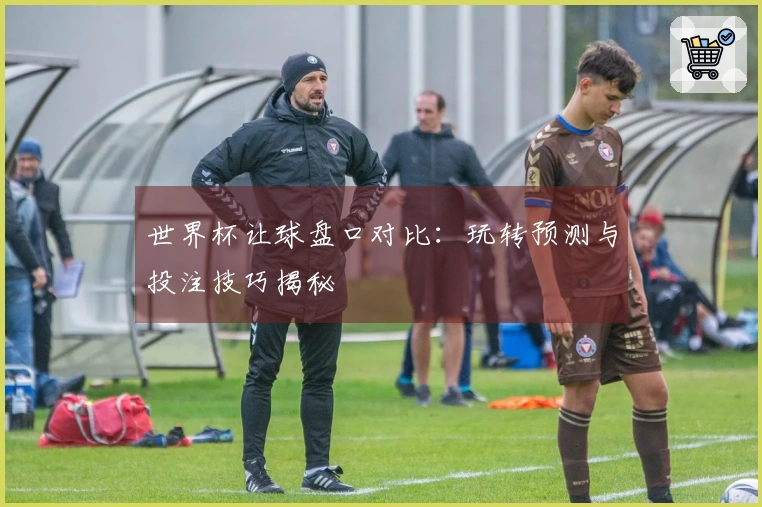 世界杯让球盘口对比：玩转预测与投注技巧揭秘