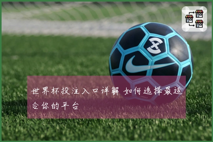 世界杯投注入口详解 如何选择最适合你的平台