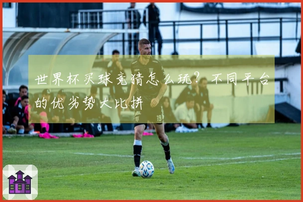 世界杯买球竞猜怎么玩？不同平台的优劣势大比拼